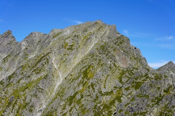 北アルプス　紀美子平から望む奥穂高岳