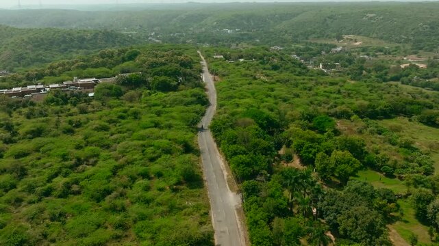 Aerial view of road cutting through lush greenery, a serpentine path amidst vibrant foliage, creating a striking contrast of natural tones, Mangar, Haryana, India.