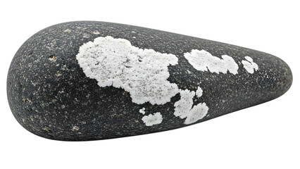 Gray stone with white lichen patches isolated on a transparent background rock