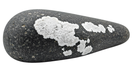 Gray stone with white lichen patches isolated on a transparent background rock