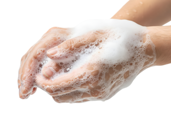 Closeup hands washing with foaming soap on transparent background