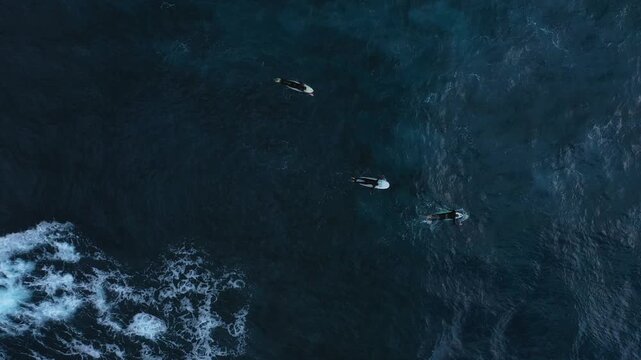 Aerial view of three surfers waiting on a dark blue sea with a foamy white wave contrasting the dark ocean, Benijo, Santa Cruz de Tenerife, Spain.
