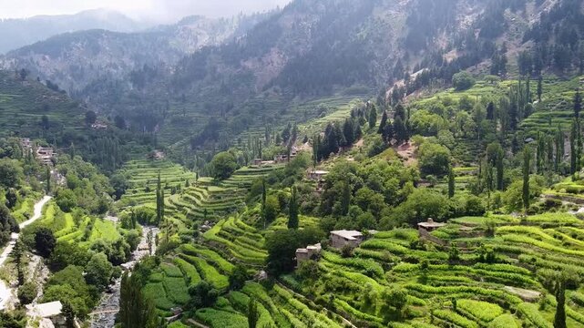 Aerial drone of Kunar Province, Afghanistan, the mountains stand with magnificence, adorned with lush greenery, epitomizing the natural beauty of the region. Agriculture in harmony with nature