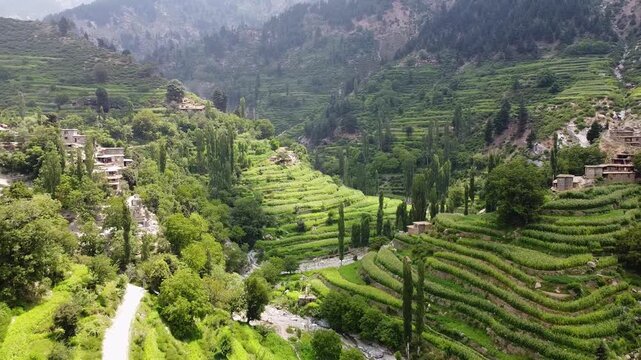 Aerial drone of terraced farms in mountains of Kunar Province, Afghanistan, abundant greenery lush farms, representing the region's natural splendor. Organic farming in harmony with nature