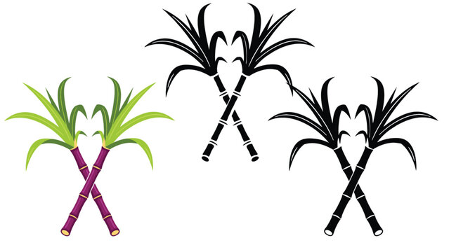 Vector illustration set of crossed sugarcane stalks for Pongal and Sankranti festivals, featuring purple stalks with green leaves and black silhouette versions