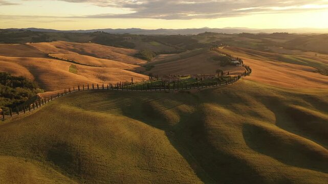 Aerial view of the rolling hills and a row of trees creating a picturesque landscape, bathed in the warm glow of the sun, San Quirico d'Orcia, Tuscany, Italy.