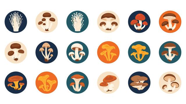 Set of circular icons featuring various types of edible and wild mushrooms, such as shiitake, chanterelle, and enoki.