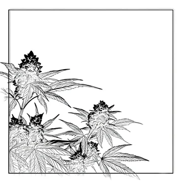 Gobo floral arrangement with marijuana buds silhouette