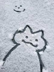 A funny cat is drawn on the fresh snow