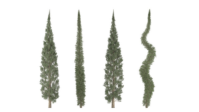 Various types of tree branch plants bushes shrub and and small plants isolated