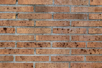 Fototapeta premium Bright brick wall featuring white and beige bricks with natural light. Timeless architectural background suitable for interiors, facades and loft-style spaces.