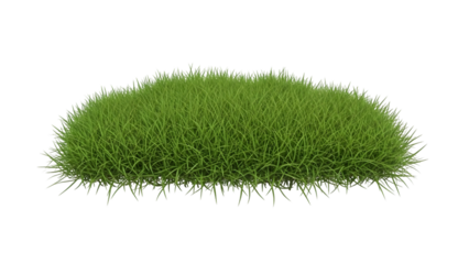 Patch of green grass isolated on a transparent background lawn turf