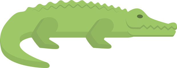 Fototapeta premium Flat design alligator illustration showcases reptile’s distinctive features, ideal for educational materials or wildlife-themed projects.