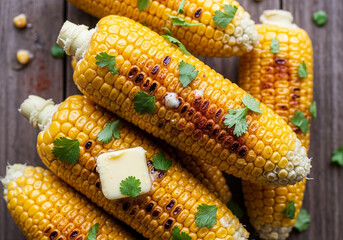 Delicious grilled corn on the cob with butter and cilantro, a perfect summer food or side dish, presented on a rustic wooden table top.