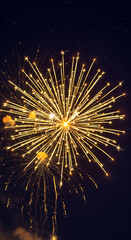 Obraz premium Explosion of yellow fireworks in the dark sky. It represents celebration, joy, festive mood and marks a special occasion in a dynamic style
