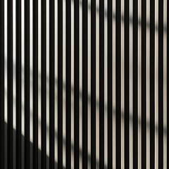 Close-up of black and white vertical slats with shadows, modern architectural detail
