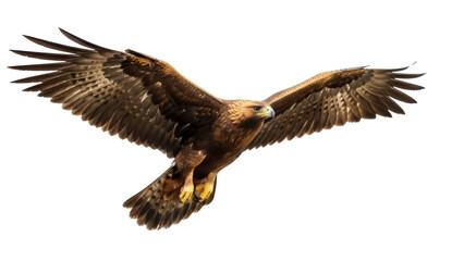 Isolated majestic golden eagle soars through the air, wings spread wide, plumage detailed