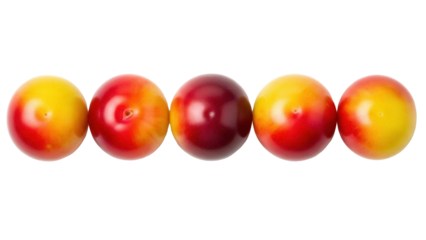 Isolated row of ripe cherry plums, yellow and red stone fruits in a line, summer harvest