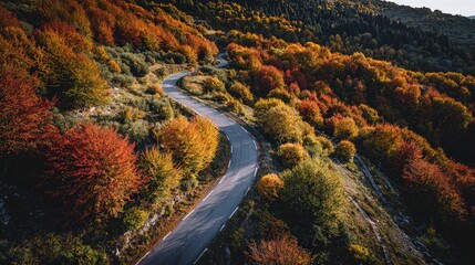 Scenic Highway Through Vibrant Autumn Forest