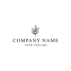 company logo design