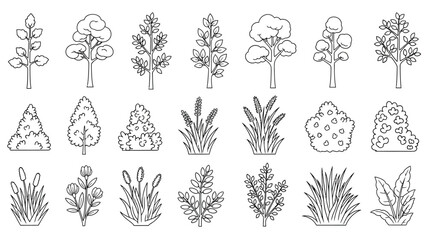 Variety of sketched trees and foliage a botanical illustration collection © Hasina