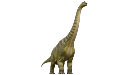 Fotobehang Dinosaurussen Isolated dinosaur sauropod is a prehistoric beast with long neck and small head viewed from the front  © Nuria