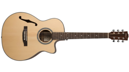 Isolated guitar instrument with strings and fingerboard, musical equipment for musicians