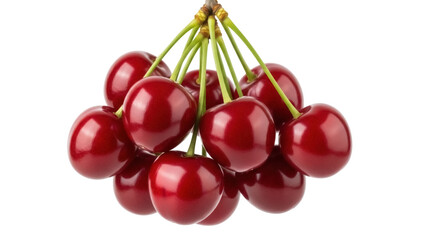 Isolated bundle of ripe cherries, fresh summer fruit for healthy eating or cooking concept