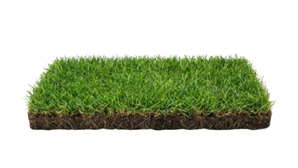 Rectangular Green Grass Patch with Soil Section Isolated on White Background