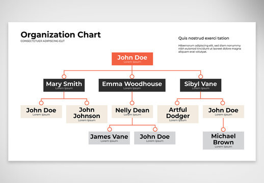 Organization Chart Infographic