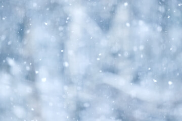 Fototapeta premium Winter blurred background, snowflakes, light weather, abstract backdrop in the park