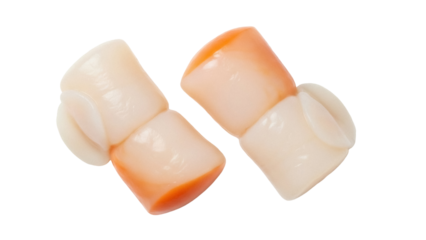 Isolated Dental models showing root canal treatment, educational material, dentist office