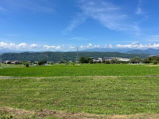 Rice Field in Nagano Prefecture, Japan