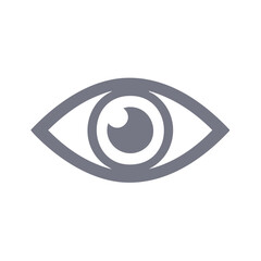 Stylized Graphic Icon of an Eye for Vision Surveillance Security Access Information System in Gray