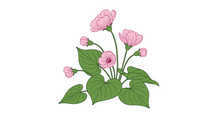 Fototapeta premium Beautiful bouquet of delicate pink bindweed flowers and lush green heart-shaped leaves, illustrated in a charming hand-drawn style.
