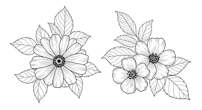 Collection of hand-drawn floral bouquets with detailed petals and leaves in a black and white vintage engraving sketch style.