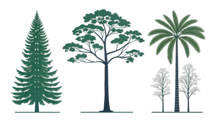 Diverse collection of architectural trees including pine, broadleaf, and palm, suitable for landscape plans and CAD drawings.