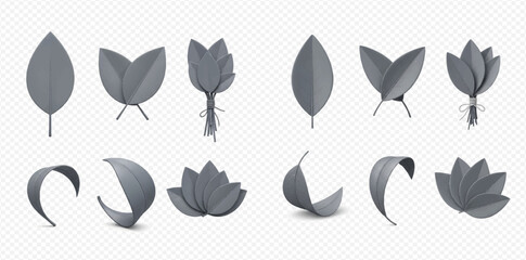 Set of gray paper leaves in various shapes and forms, isolated on transparent background.