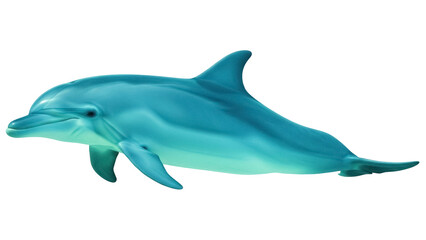 Isolated dolphin, mammal, marine life, sea animal, aquatic creature, beautiful ocean