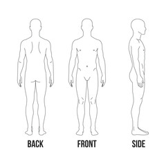 Human body anatomy outline front back and side view diagram