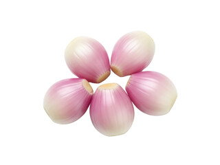 Isolated fresh shallots arranged together, peeled and ready to use for cooking projects.