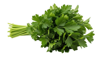 Isolated fresh green parsley bunch, vibrant ingredient for healthy vegetarian cooking meals