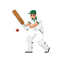 Pixelated cricket batsman icon logo flat vector design