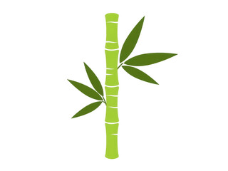 Fototapeta premium Isolated light green bamboo stalk with leaves in decorative design, vector illustration