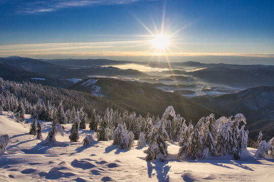 View of snow-laden trees clinging to a mountainside, bathed in the radiant glow of the sun, with valleys shrouded in mist, Raztocka Hola, Banska Bystrica Region, Slovakia.