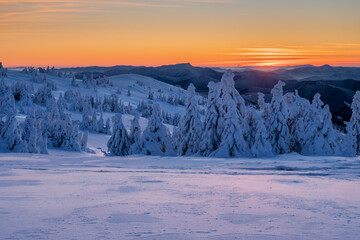 View of snow-laden trees stand silent under a vibrant sunset casting hues of orange and pink across the winter landscape, Mala Fatra, Zilina Region, Slovakia.
