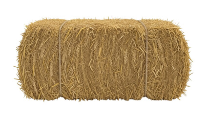 Golden hay bale isolated PNG, tied with rope, farm harvest, agriculture and rural scene element on transparent background © Hugo
