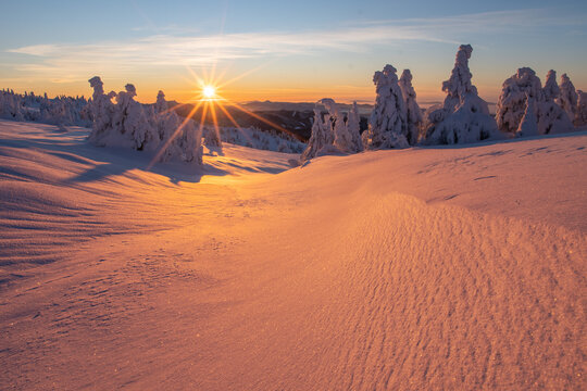 View of the sun casts a golden glow over the snow-covered landscape, illuminating the snow-laden trees in Vidlica, Mala Fatra, Zilina Region, Slovakia.