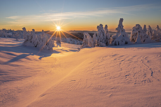 View of a snow-covered field and trees sparkle under the golden rays of the setting sun, casting long shadows across the pristine landscape, Mala Fatra, Zilina Region, Slovakia.