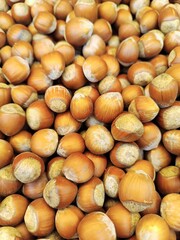 Agriculture. Ripe hazelnuts on a store shelf.